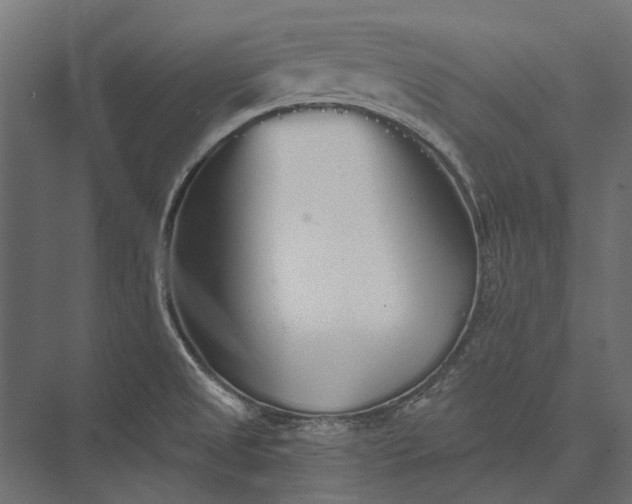 X0000076061525200610061523