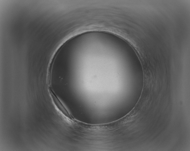 X0000076061527200610061523