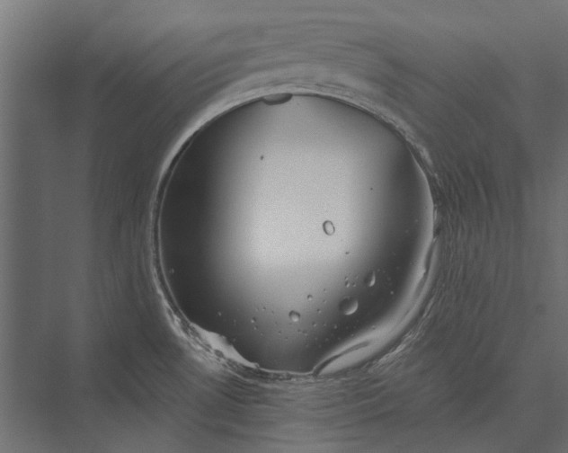 X0000076061530200610061523