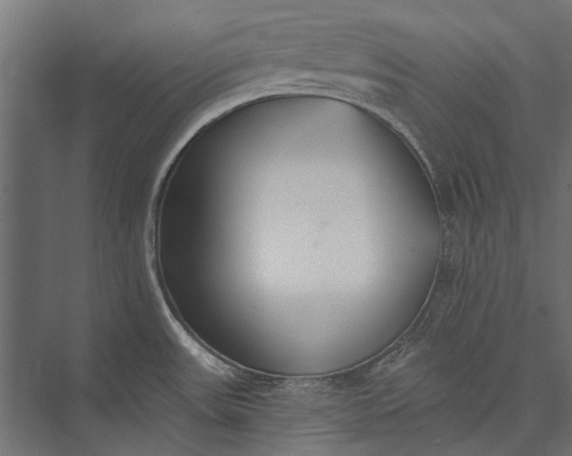 X0000076061531200610061523