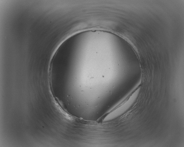 X0000076061532200610061523