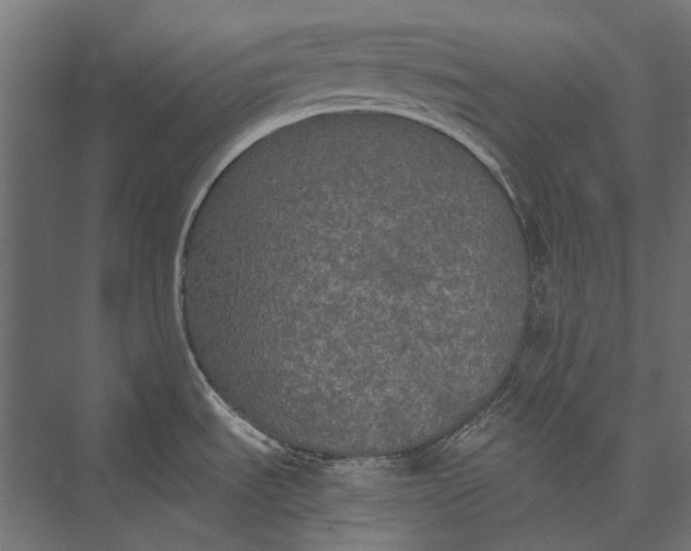 X0000076061535200610061523