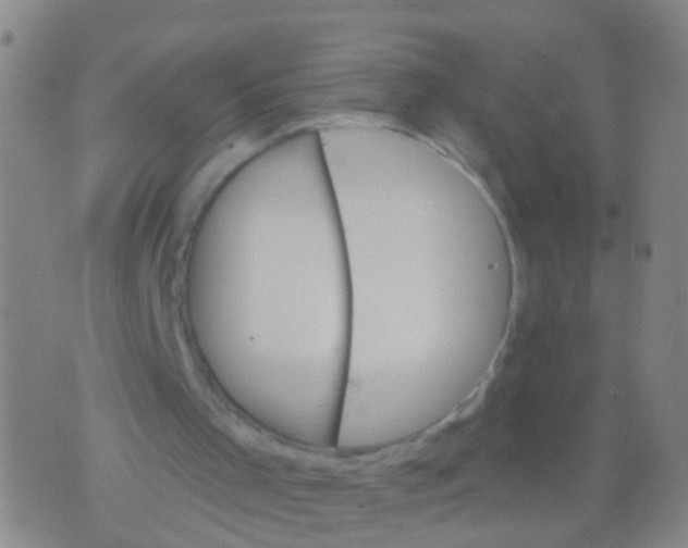 X0000076060001200610152214