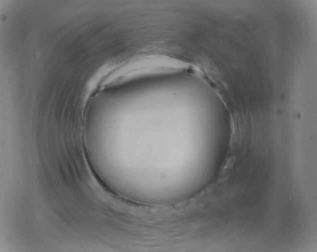 X0000076060003200610152214