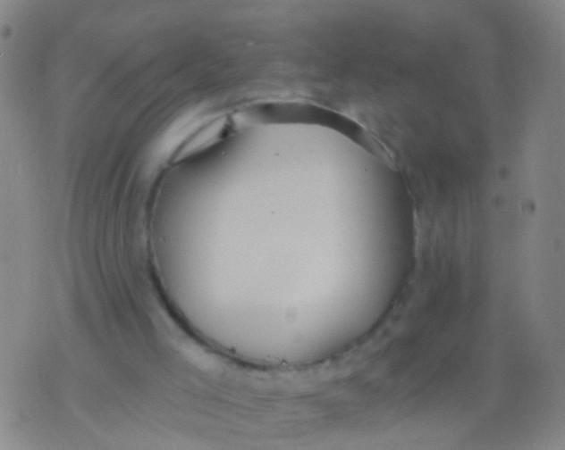 X0000076060005200610152214