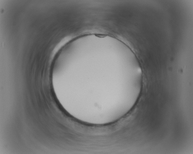 X0000076060008200610152214