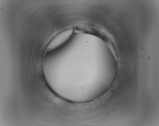 X0000076060009200610152214