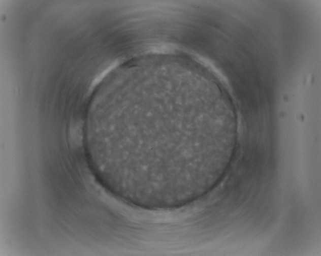 X0000076060010200610152214