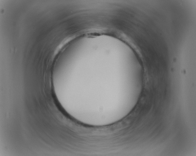 X0000076060011200610152214