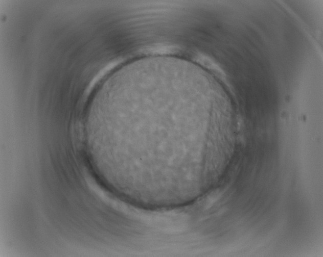 X0000076060012200610152214