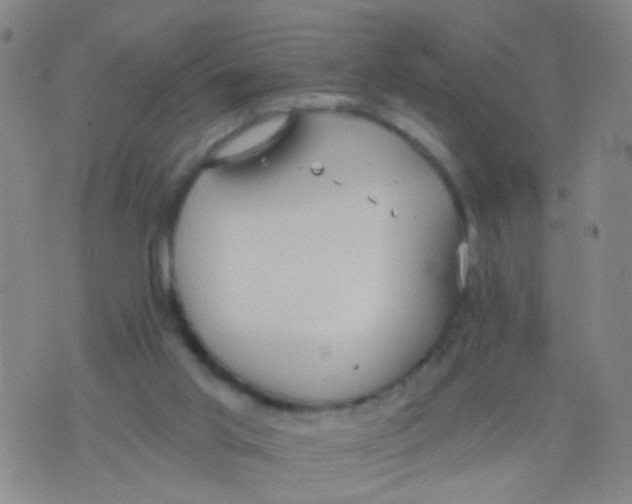 X0000076060013200610152214