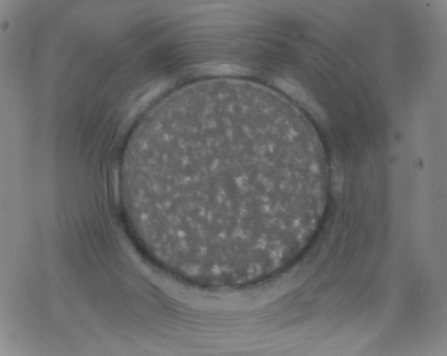 X0000076060014200610152214