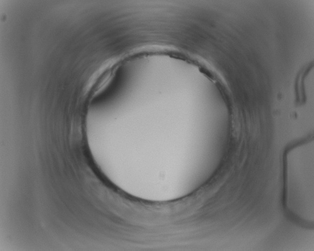 X0000076060015200610152214