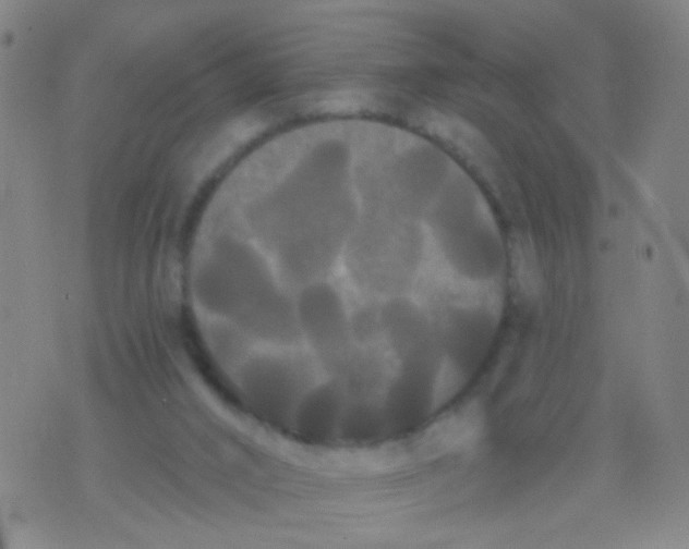 X0000076060016200610152214