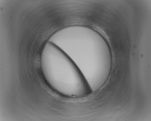 X0000076060017200610152214