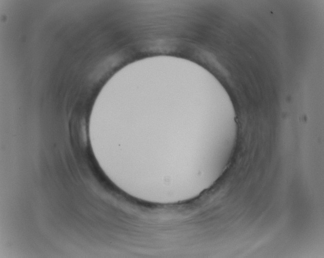 X0000076060020200610152214