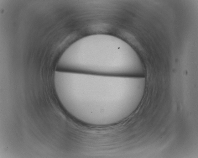 X0000076060021200610152214