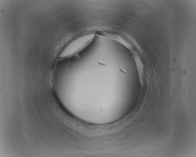 X0000076060023200610152214