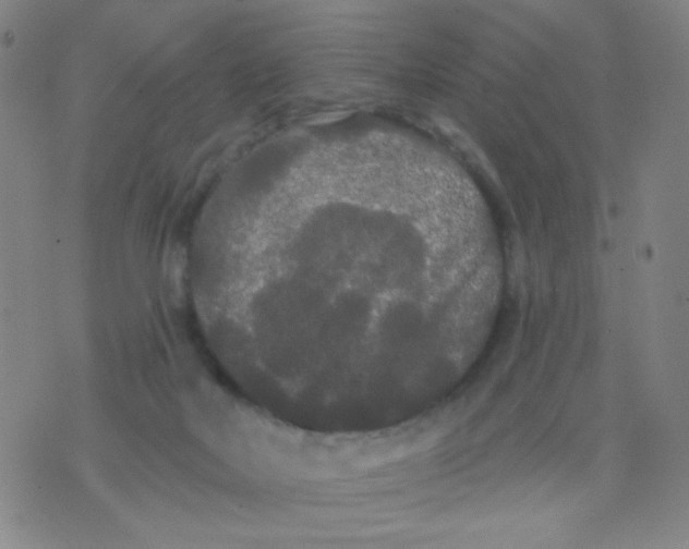 X0000076060026200610152214