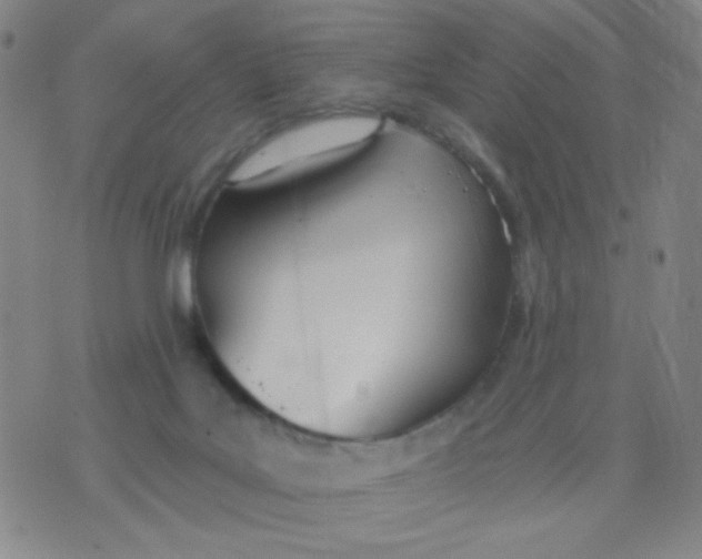 X0000076060027200610152214