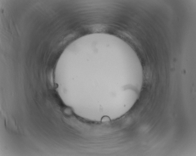 X0000076060028200610152214