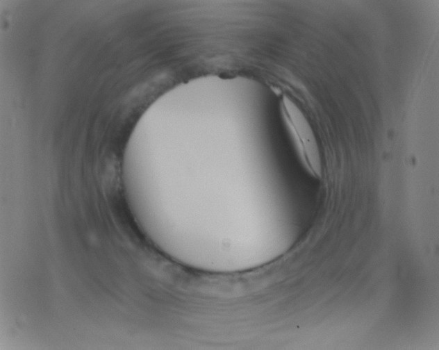 X0000076060029200610152214