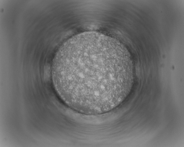 X0000076060030200610152214