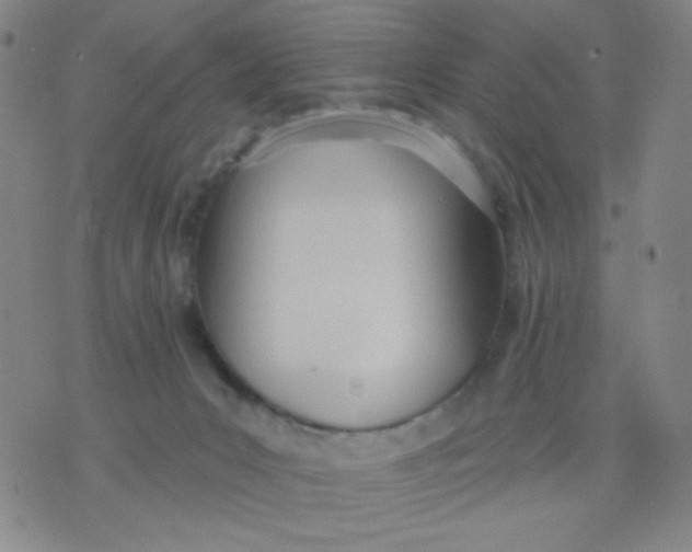 X0000076060031200610152214