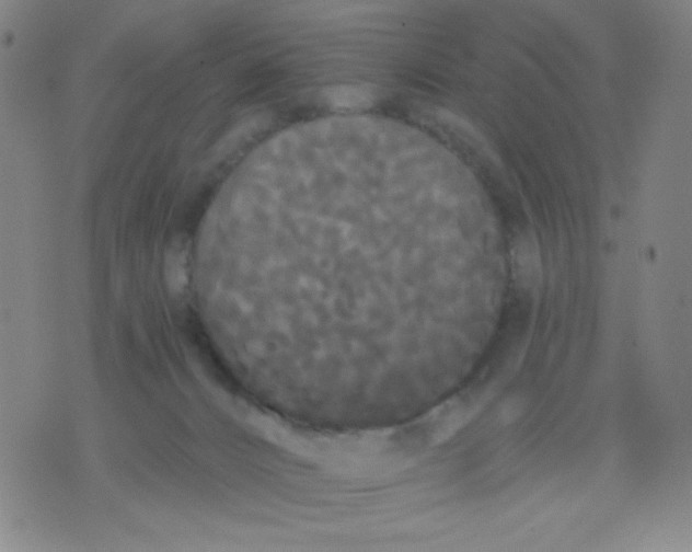 X0000076060032200610152214