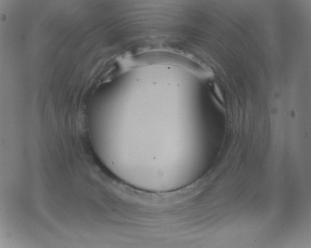 X0000076060035200610152213