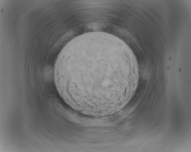 X0000076060036200610152213