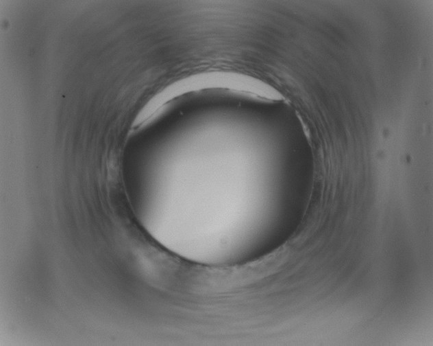 X0000076060037200610152213