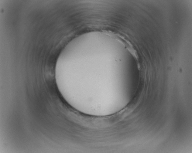 X0000076060040200610152213