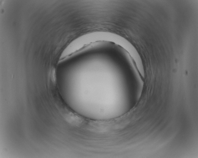 X0000076060041200610152213