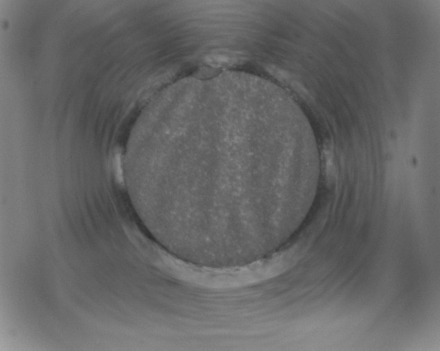 X0000076060042200610152213