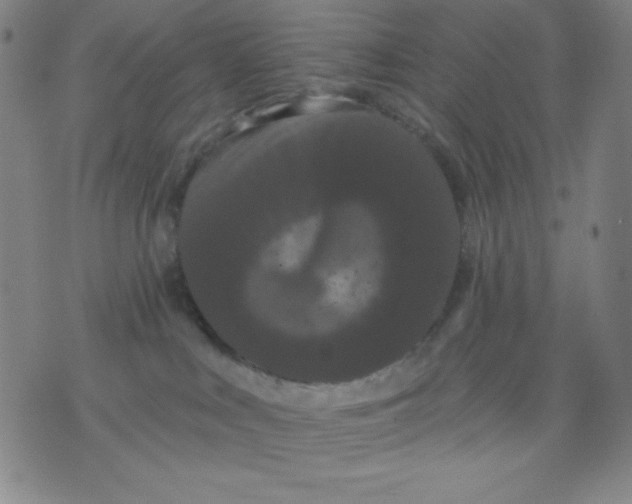 X0000076060043200610152213