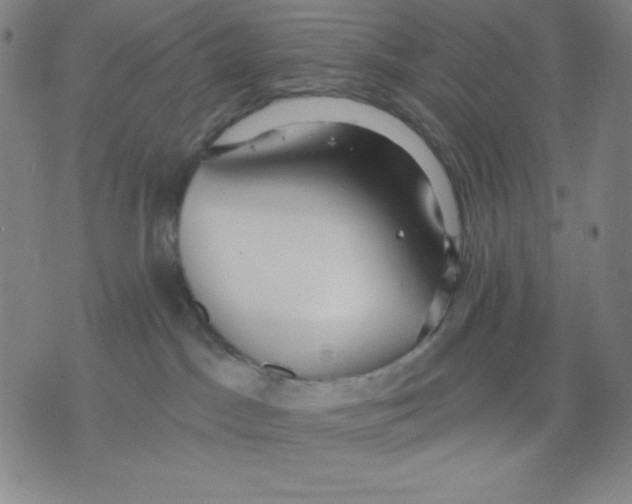 X0000076060045200610152213