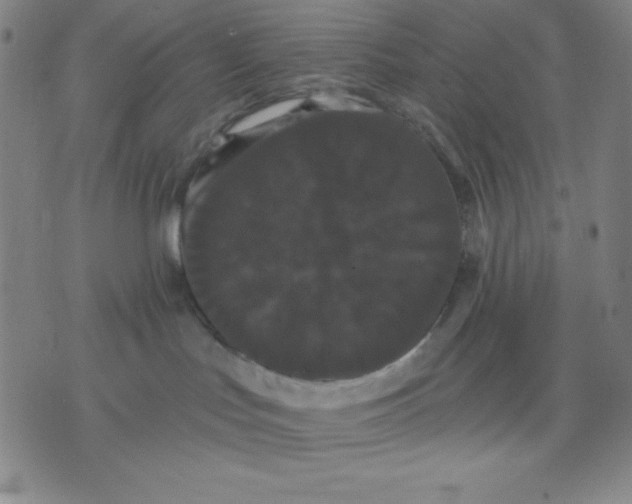 X0000076060047200610152213