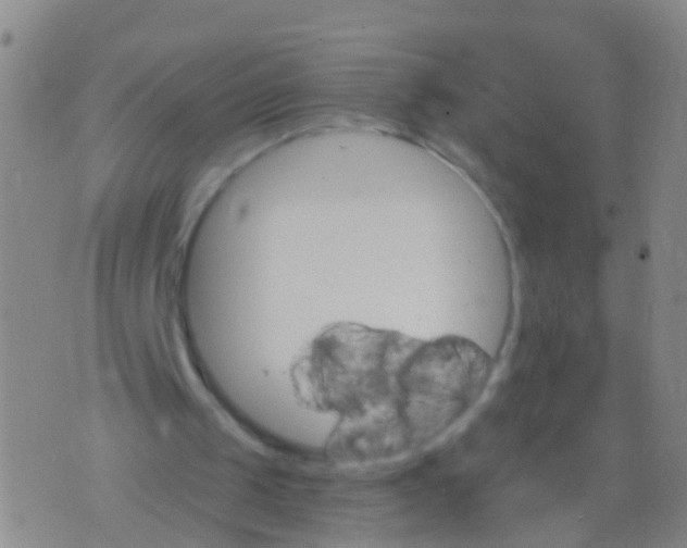 X0000076060049200610152212