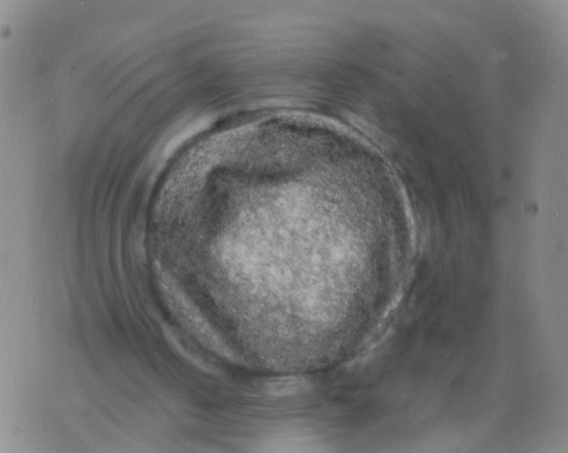 X0000076060050200610152212