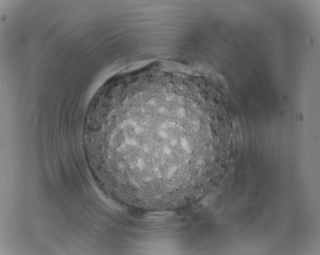 X0000076060051200610152213