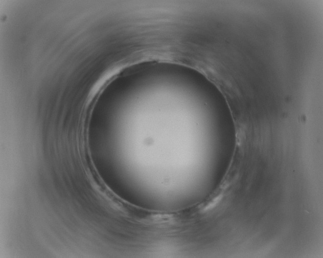 X0000076060052200610152213