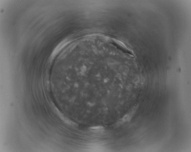 X0000076060053200610152213