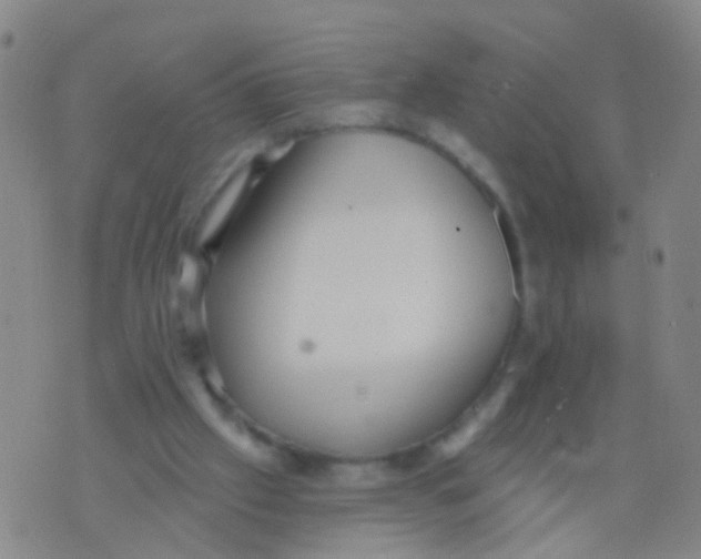 X0000076060057200610152213