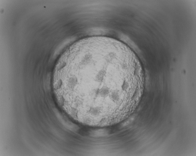 X0000076060058200610152213