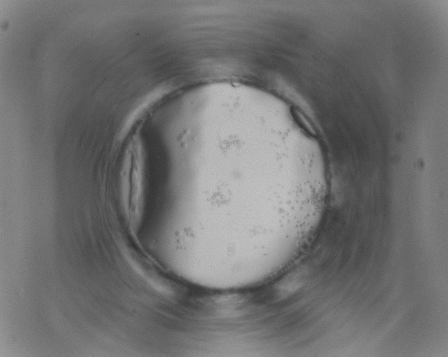 X0000076060059200610152213