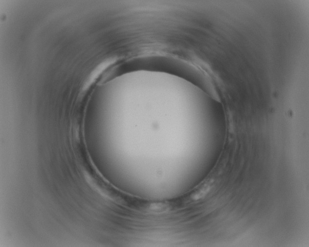 X0000076060060200610152213