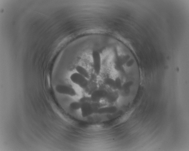 X0000076060061200610152213