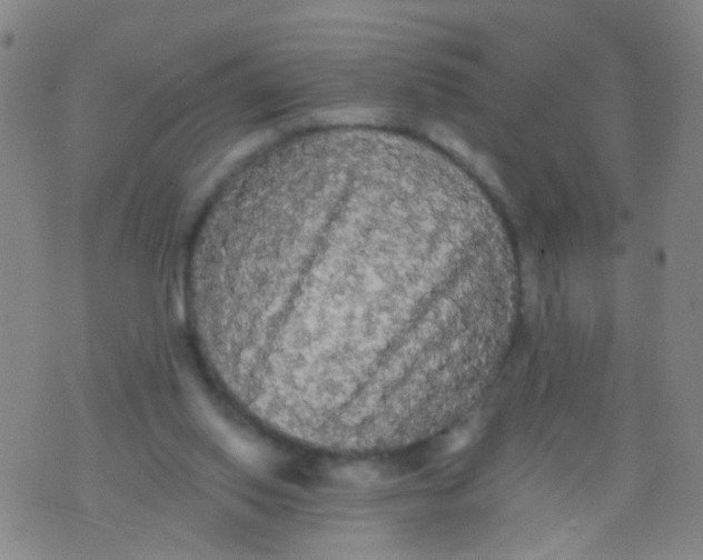 X0000076060062200610152213