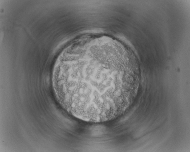 X0000076060063200610152213